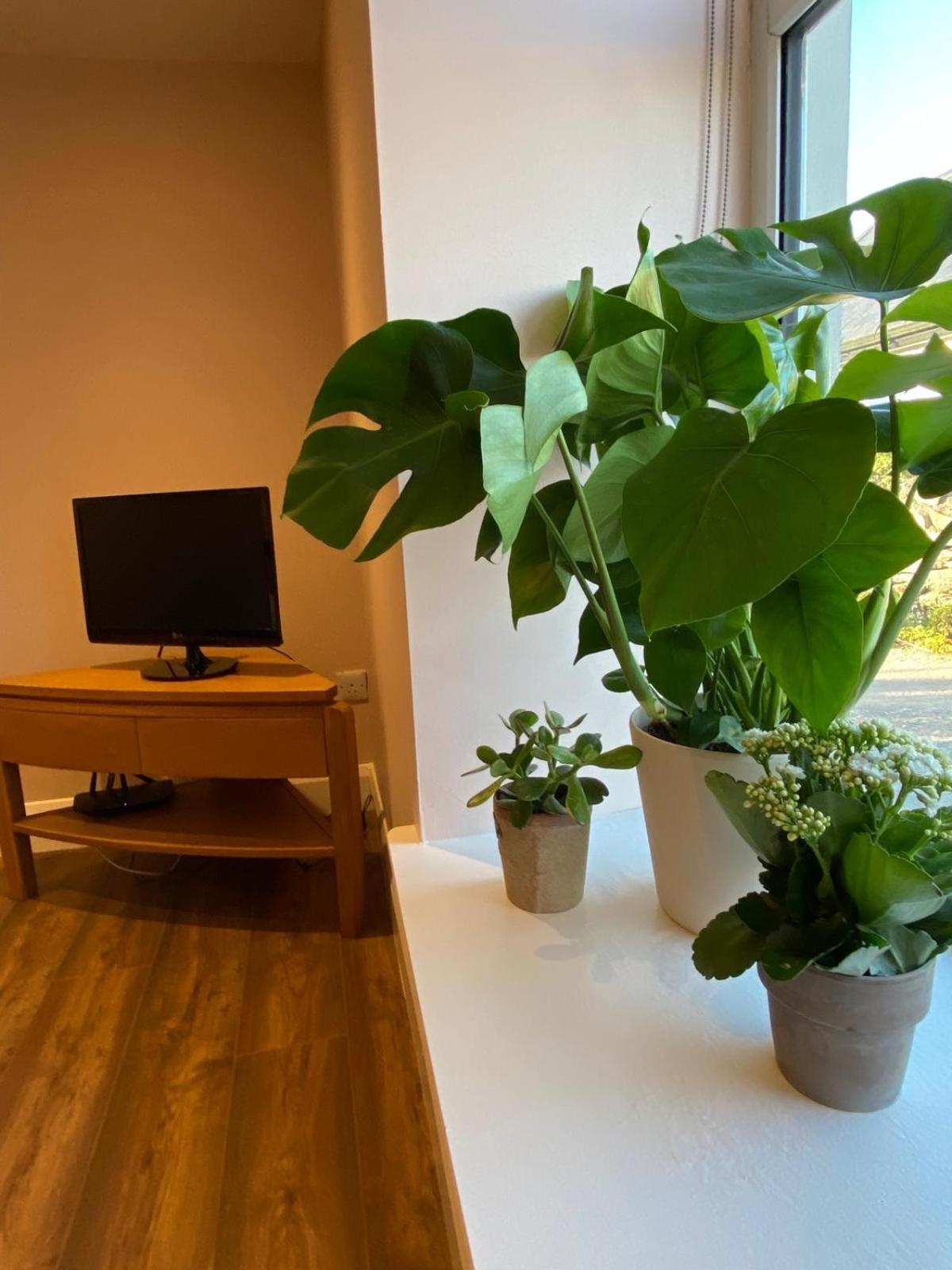 Croagh Patrick Studio Apartment Murrisk Ngoại thất bức ảnh